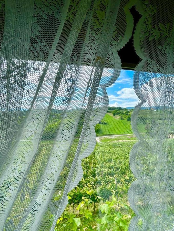 Wine Paradise Sveti Ivan Zelina 外观 照片