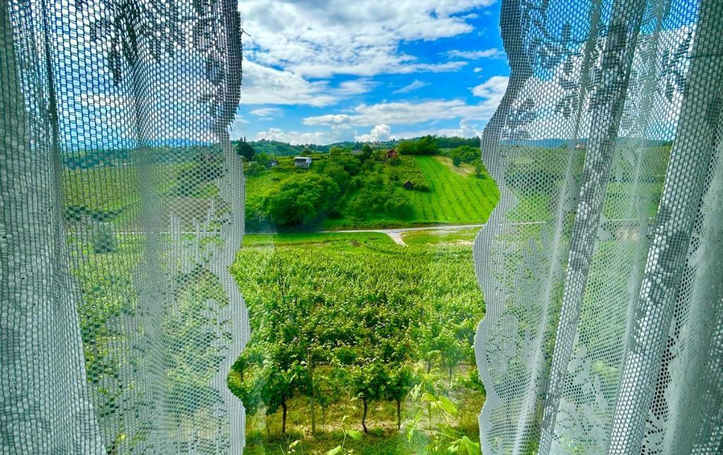 Wine Paradise Sveti Ivan Zelina 外观 照片