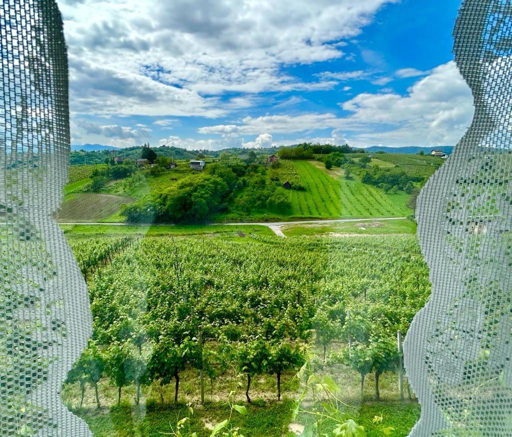 Wine Paradise Sveti Ivan Zelina 外观 照片