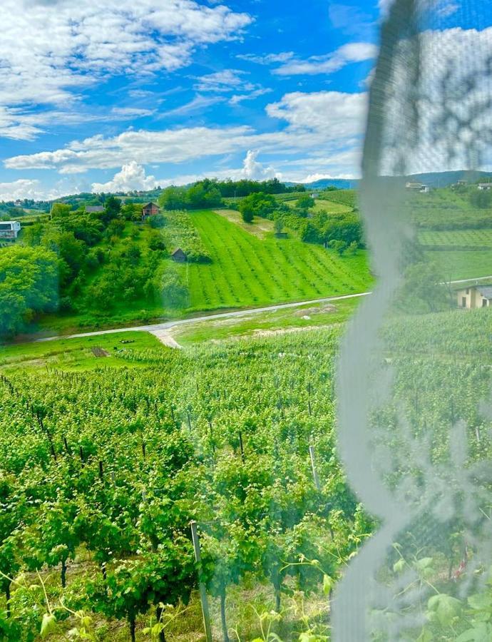 Wine Paradise Sveti Ivan Zelina 外观 照片