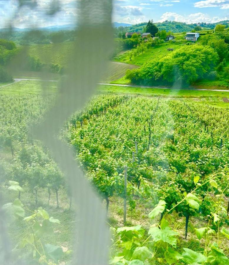 Wine Paradise Sveti Ivan Zelina 外观 照片