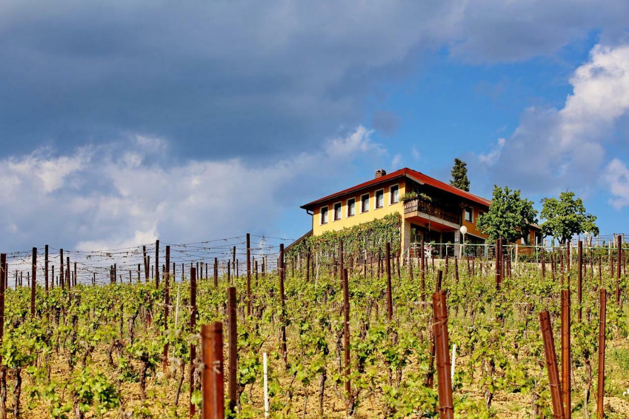 Wine Paradise Sveti Ivan Zelina 外观 照片