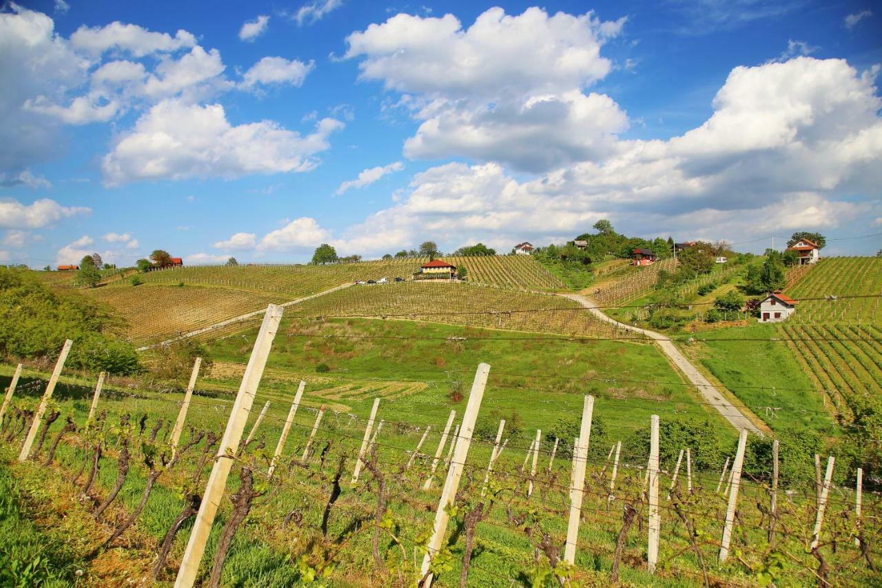 Wine Paradise Sveti Ivan Zelina 外观 照片