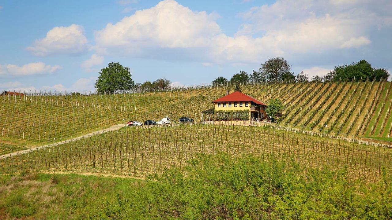 Wine Paradise Sveti Ivan Zelina 外观 照片